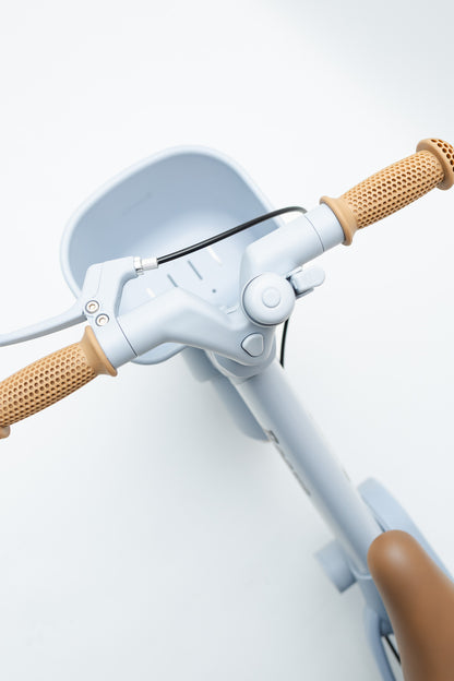 Roova Bike - Blue